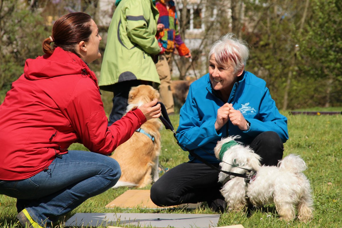Tellington TTouch Seminar für Hunde mit Robyn Hood