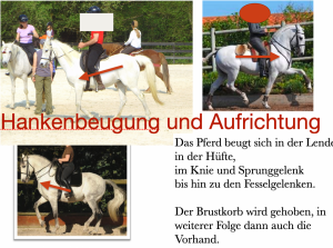 Aufrichtung - genauer angeschaut