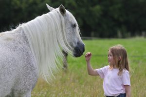 Angie-Kurs. freie Begegnung