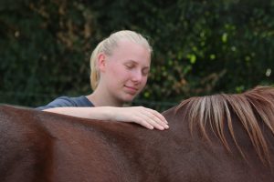 Achtsame Begegnung mit Tellington am Pferd