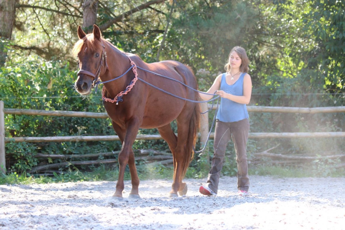 Luna van Well<br />
Vorbereitung für Langzügel-Arbeit