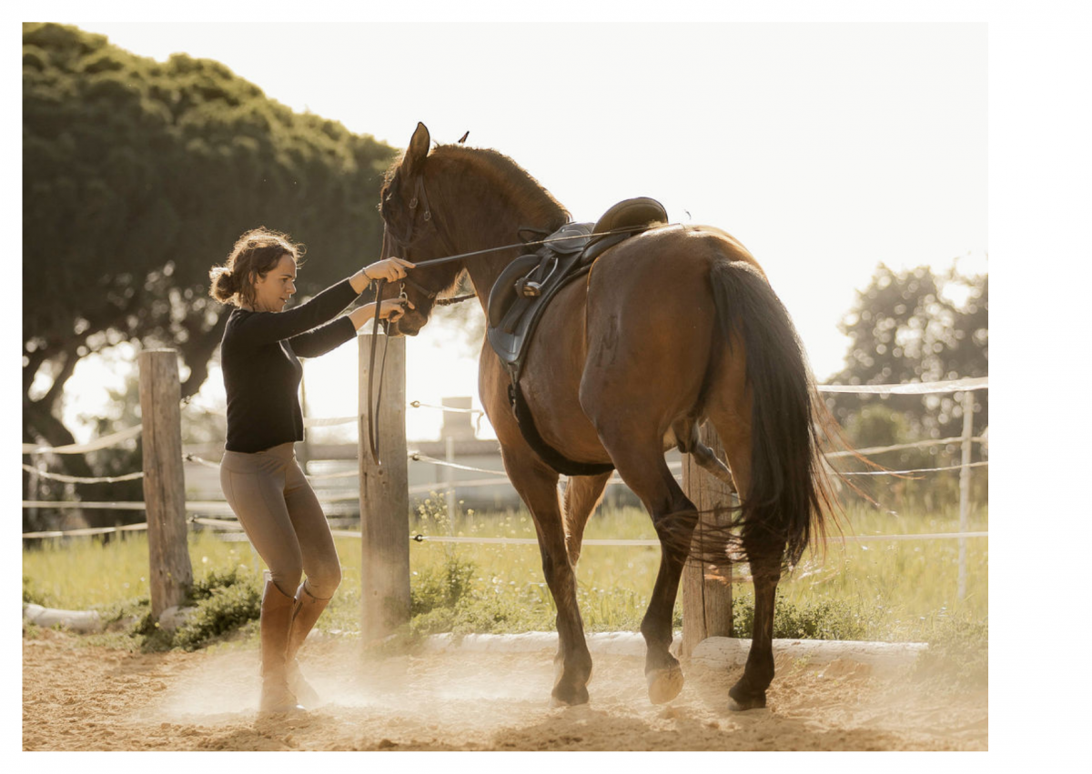 Vom Dingo zur Piaffe. Intensiv-Seminar und Urlaub verbinden!