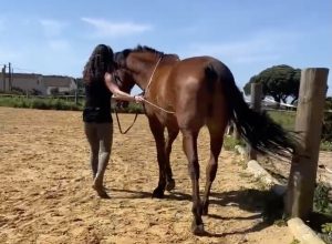 Finca las Piñas. Klassische Handarbeit