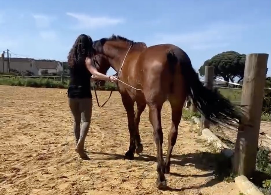 Finca las Piñas. Klassische Handarbeit