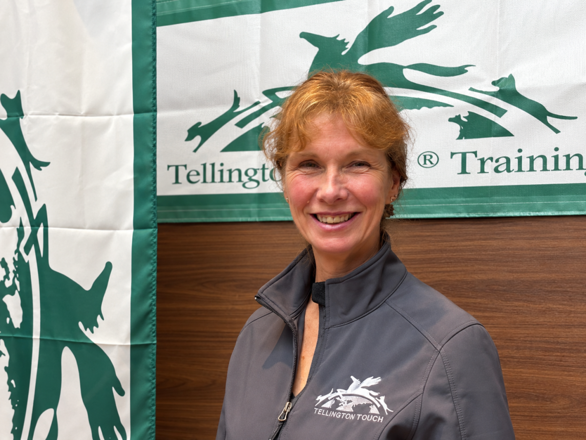 Telliington TTouch Intensiv-Seminar mit Tina Constance